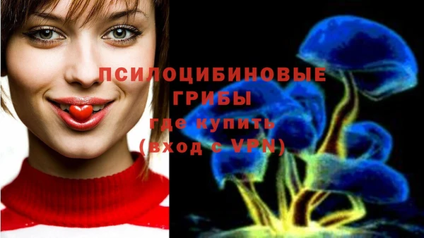 амф Горнозаводск