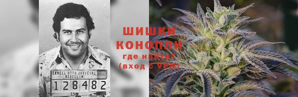амф Горнозаводск
