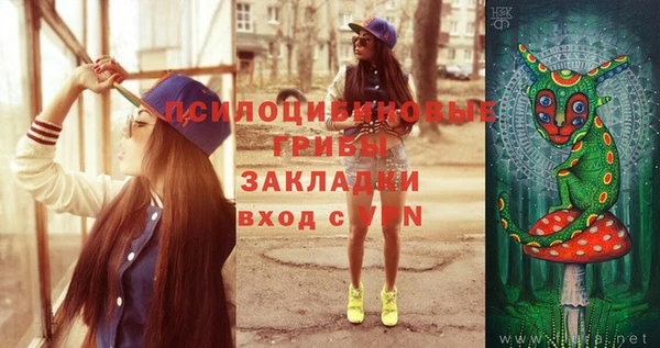 экстази Горняк