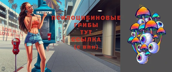 экстази Горняк