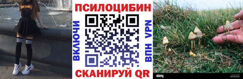 как найти наркотики  МЕГА как войти  Галлюциногенные грибы ЛСД  Инза 